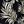 Black Fun Palm