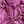 Brown Pink Leaf Floral