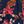 Navy Red