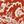 Rust Beige