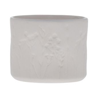 Sonoma Goods For Life® Ivory Apple Spice 10.1-oz. Candle Jar