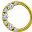 Gold Tone