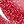 Cranberry