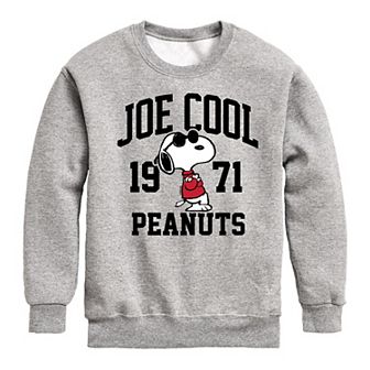 Boys 8-20 Peanuts Joe Cool Fleece