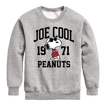 Boys 8-20 Peanuts Joe Cool Fleece