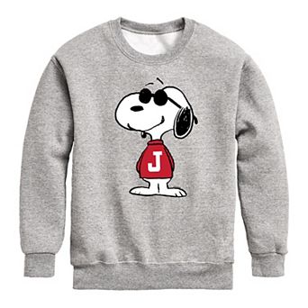 Boys 8-20 Peanuts Joe Cool Fleece