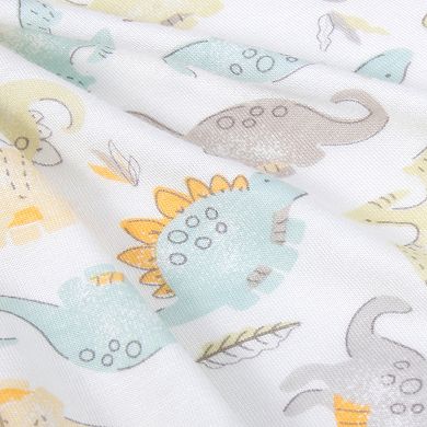 Baby Essentials Super Soft Dinosaur Swaddle Blanket and Hat Set