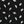 Black Modern Palm