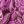 Brown Pink Leaf Floral