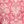 Coral Tan Mod Palm