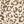 Tan Leopard