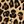 Brown Cheetah Spot