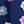 Navy Daisy Multi