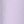 Enlighten Purple