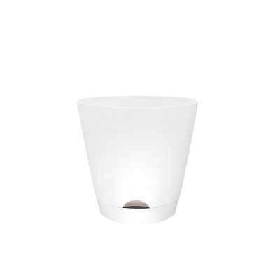 Sonoma Goods For Life Plastic Planter
