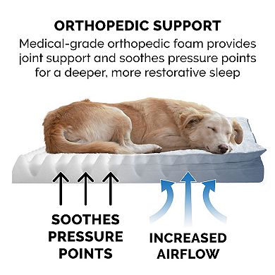 Furhaven Minky Faux Fur & Suede Pillow Top Mattress Orthopedic Dog Bed