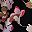 Black Darya Floral