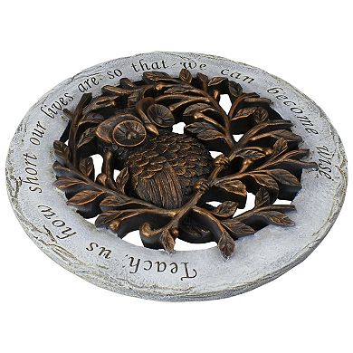12 Bronze and Gray Wise Owl Outdoor Garden Stepping Stone