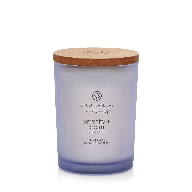 UPC 754870408908 product image for Chesapeake Bay Serenity + Calm Lavender Thyme Single Wick Jar Candle, Light Purp | upcitemdb.com