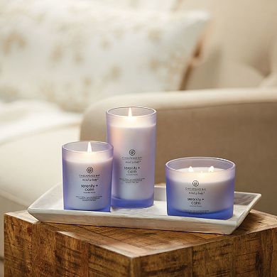 Chesapeake Bay Serenity + Calm Lavender Thyme Jar Candle