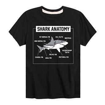 Boys 8-20 Shark Anatomy Graphic Tee