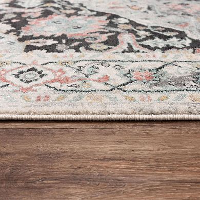 Alora Decor Jo Traditional Medallion Area Rug