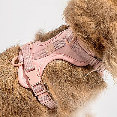 Wild One Dog Harness