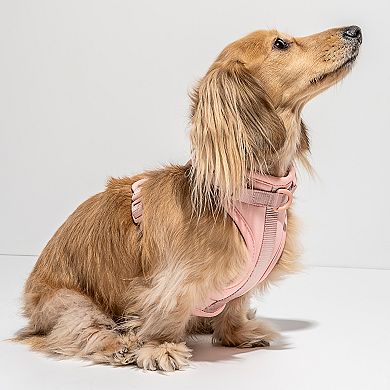 Wild One Dog Harness