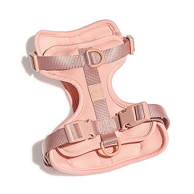 Wild One Dog Harness