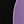 Black Purple