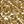 Gold Tone