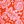 Orange Floral Medley