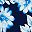 Deep Sea Navy Floral