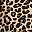 Tan Wild Cheetah