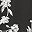 Black White Flower