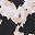Spot