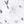 Whiteblack Flowerprint