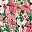 Pink Green
