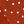 Caramel Small Dot