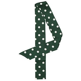 Women's Skinny Silky Scarf Waistband Long Neckscarf Handbag