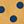 Yellow Medium Dot