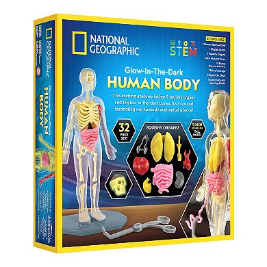 National Geographic Glow-In-The-Dark Human Body STEM Build Kit