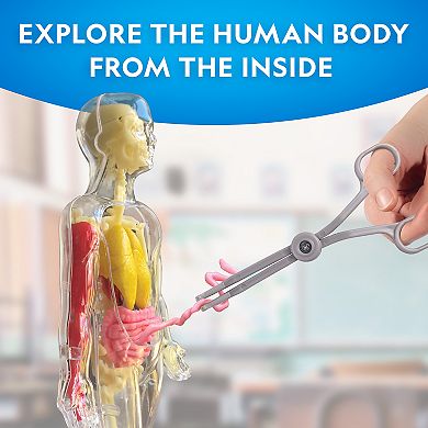 National Geographic Glow-In-The-Dark Human Body STEM Build Kit