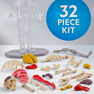 National Geographic Glow-In-The-Dark Human Body STEM Build Kit