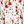 Ivory Poppy Floral