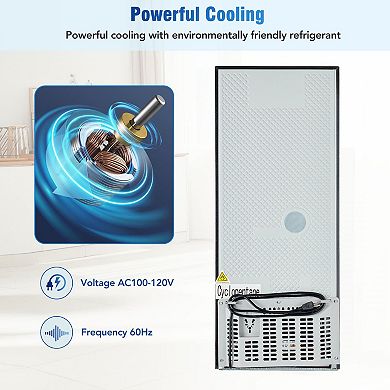 3.6 Cu.Ft Dual Zone Refrigerator With Freezer, 45 dB