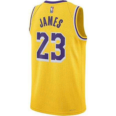 Unisex Nike LeBron James Gold Los Angeles Lakers Swingman Jersey Icon Edition