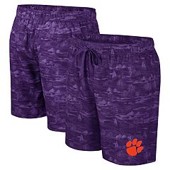 Mens Purple Swim Short