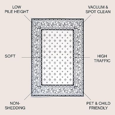 Acanthus French Border Area Rug