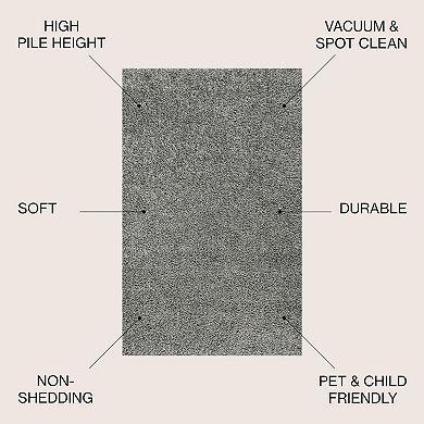 Mercer Shag Plush Area Rug